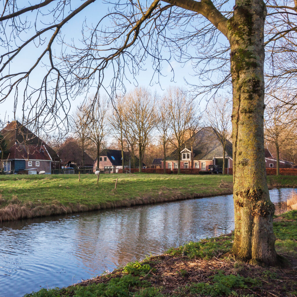 Dorpsstraat Zwaag gezien vanaf de Torenwachter in Hoorn